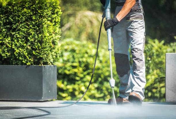 Best Gutter Cleaning  in Elgin, TX