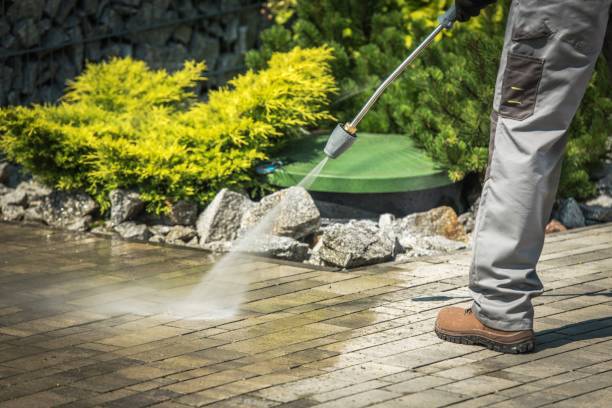 Best Warehouse Cleaning  in Elgin, TX