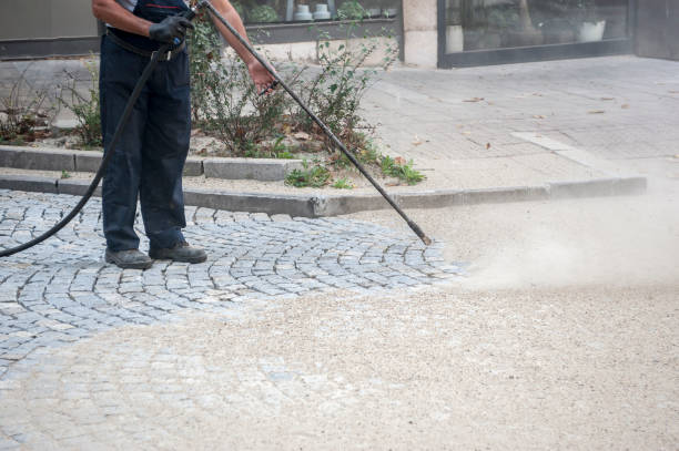 Best Animal Enclosure Cleaning  in Elgin, TX